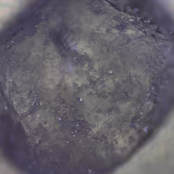 44440616102521669646113082663159899186023622714294409514363624438275023831041