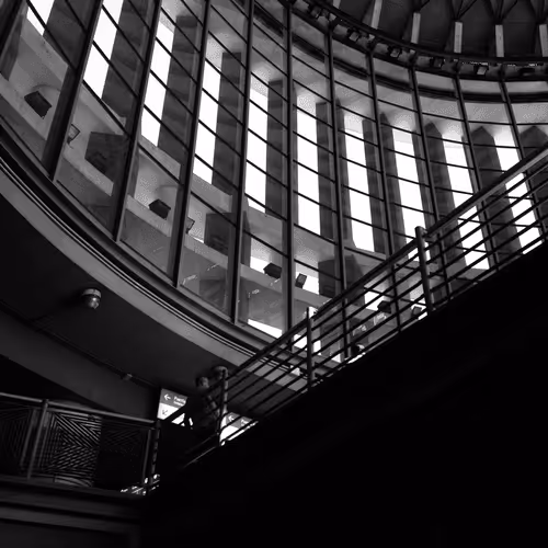 antidiego Collection