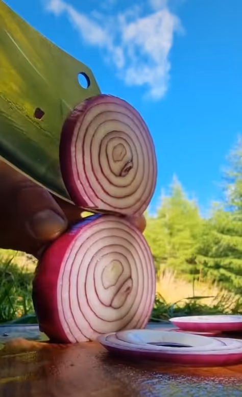 Item #71355605171447060346410046293277649019476890844426602903209692564689388568577 Media