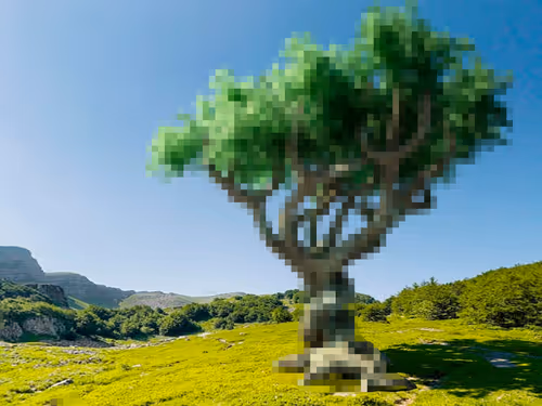 Item #105603725609947989499044129472074064723412167009068320432332286915231870877697 Media