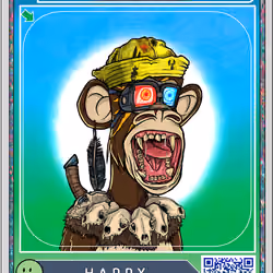 AApe Doc.XD Companion Card #3512