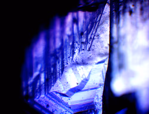 Item #71646257518770613568983710813551014237803002136866425209291834784957098622977 Media