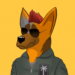 BNDog 990