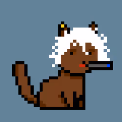 PunkCat #5053