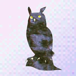 #9 Midnight