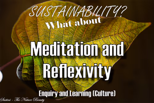 Item #93613396688638017464317025240290185264434684879039933742438229103723805671425 Media