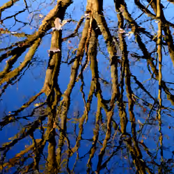 Waterreflection