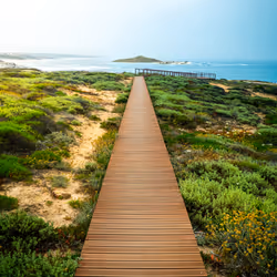 Board walk