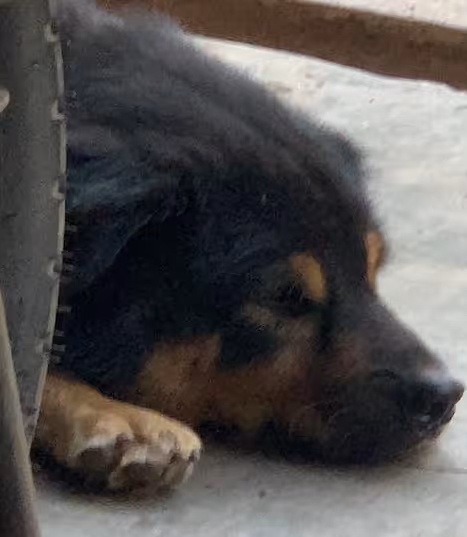 Item #56055091060271351536523847984853154360378800009370414984463609020687262416897 Media