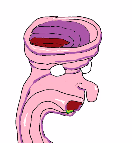 Item #37009406464054019678901404215984335196910897274556347651815602248549253775361 Media