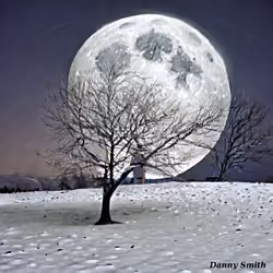 Snowy Night under the Snow Moon