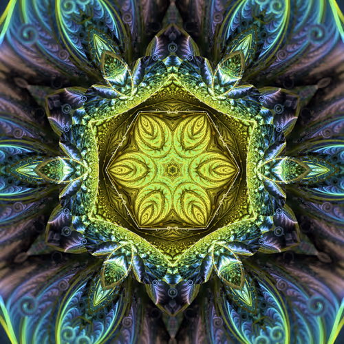 Item #69197074709681920513897941931832316846340161416867484206808756804858910081025 Media