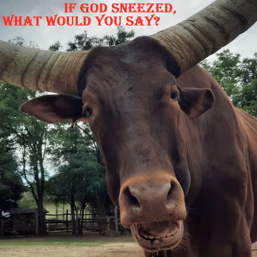 Item #51313302132644519913343847646347811445510524411913136629935896325495101325313 Media