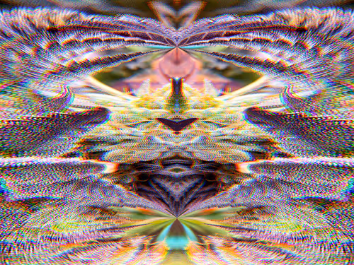 Item #83970981387443879143921485150900069530799783516997234463864977574369727348737 Media