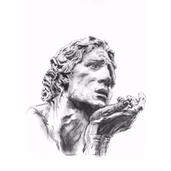 Meraki #3