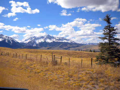 Nate_Ivers Collection