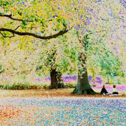 'Moving in Reverse' - Positively Reversed #003