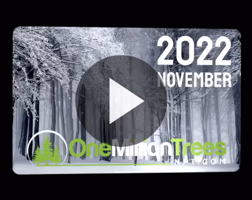 Item #25801989892845548526565125197399663131241948966790422528009328641152703791114 Media