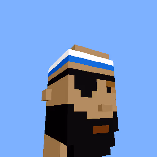 PunkVoxels #3903