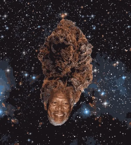 Untitled Collection #538966332