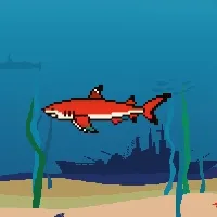 Etherfishing