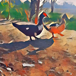 81269833061274051173789884418282317830923519221172308843662164521953003569153