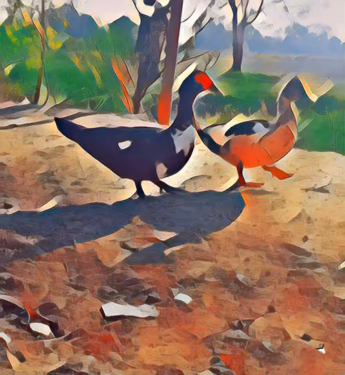 Item #81269833061274051173789884418282317830923519221172308843662164521953003569153 Media