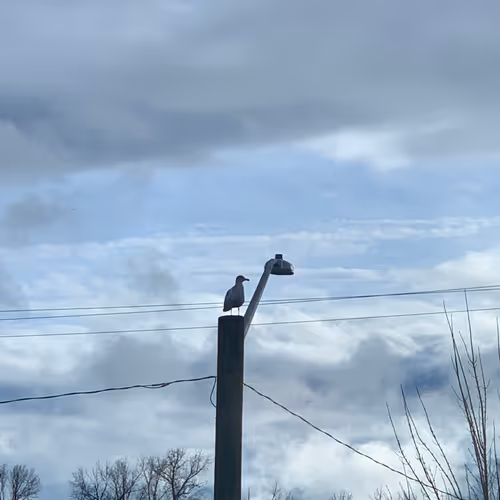 Untitled Collection #193351743