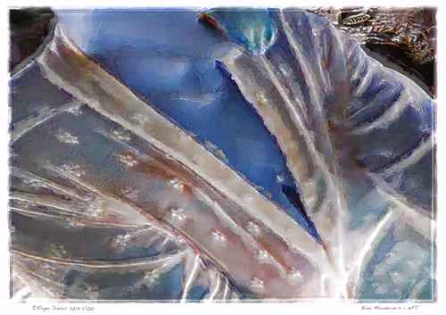 Item #11017776651197561377596972513232318538951070019919471549436519174313917546596 Media