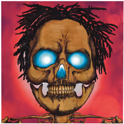 Selfie Skullfie