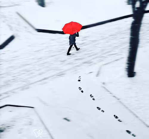 Item #80889516557341794460889948570538965909381334430356689964884201528881590566932 Media