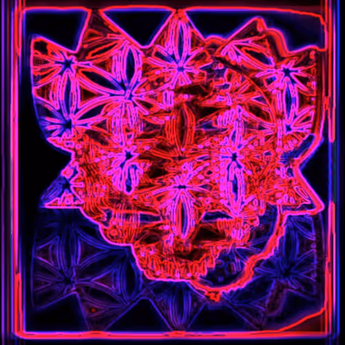 Untitled Collection #10206224