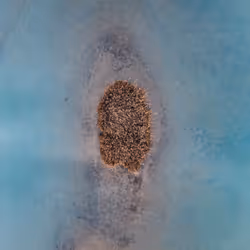 100600280271040798317723628260513137156606623100883316454227272154055035584513