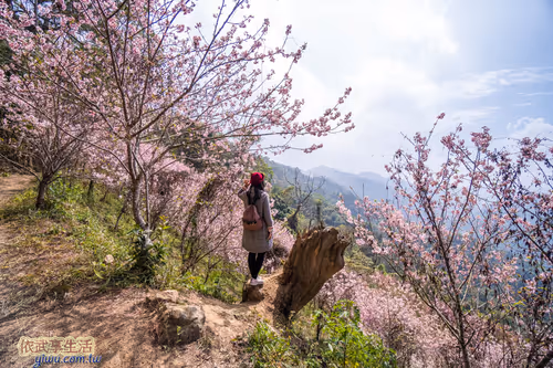 Item #100744422725674417057824683306763013505668843176654858816283484008798327144449 Media