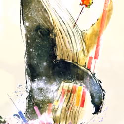 A_Crypto_rider,