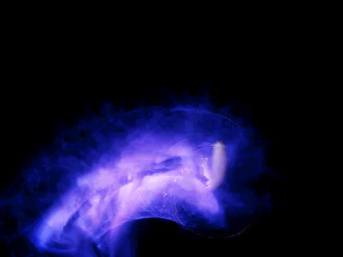 Item #45731211464929816441170859700976373292149702980452148839612469100741191008257 Media