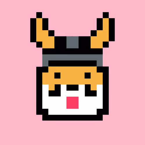 Floki Inu Punk 1