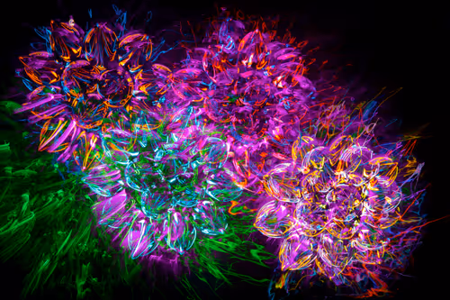 Item #36961558667508468901754344417864317572364831153456800218286957958854938198017 Media