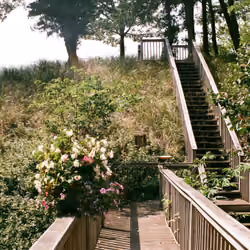 "Stairway to Nowhere" 