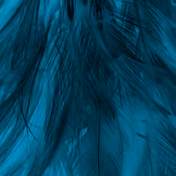 feather texture background #31