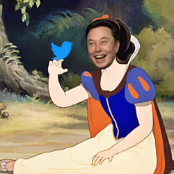 Musk white