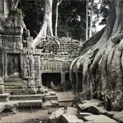 forgotten temple