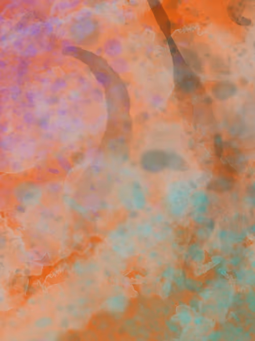 Item #35097085519408794533183264540696956340326860122237526877848050018758636339201 Media