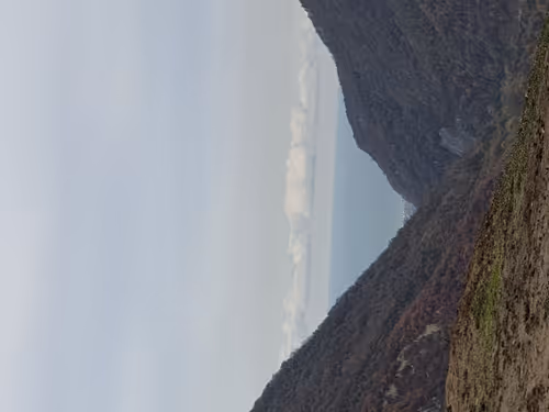 Item #15854051345547538940358171864260483403009845531481112667415573947120579772417 Media