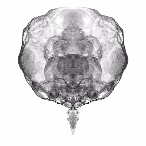 Alien Embryos