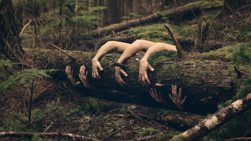 Item #27037863162219595274106965328796201644236451492369191694628585640821071544321 Media