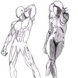 Just Anatomy -3-