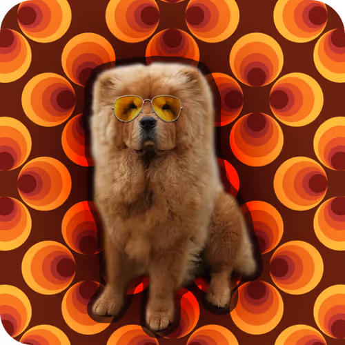 18069411133127541891764540209837632150727605560921678338142275900608069238785