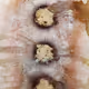 111264774895172989553606282022194155892745764425417346937131400135541786673153