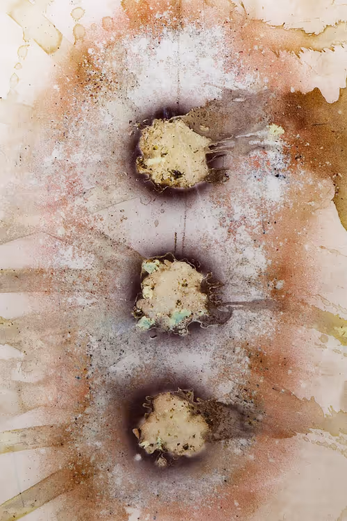 Item #111264774895172989553606282022194155892745764425417346937131400135541786673153 Media